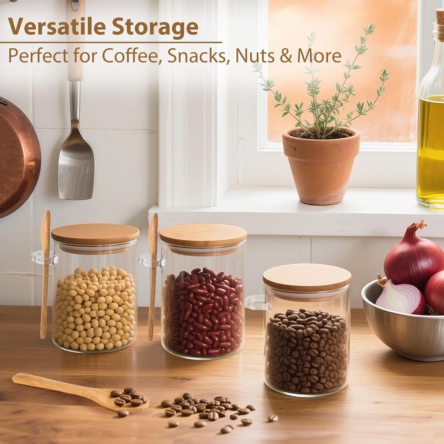 6 Pack Overnight Oats Containe - Overnight Oat Jar บทวิจารณ์และราคา